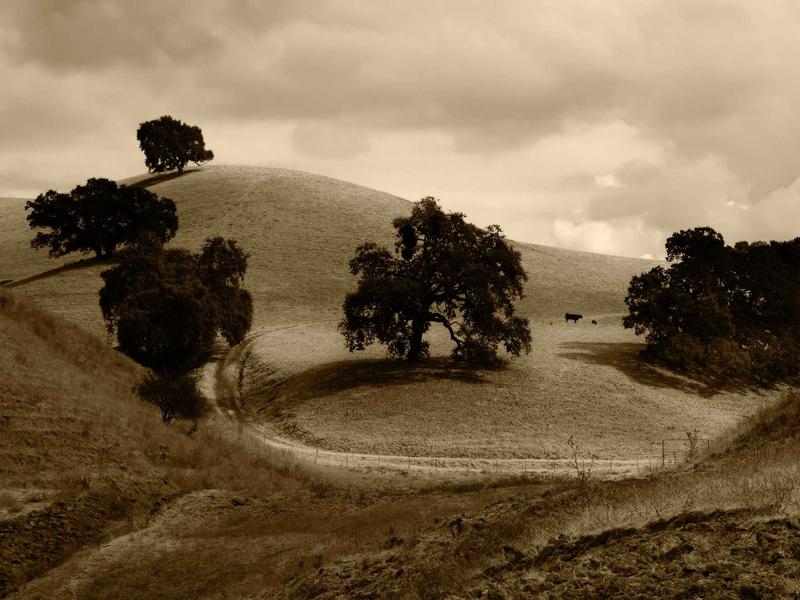 sudoku jigsaw puzzle screenshot 1