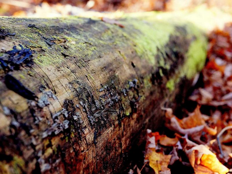 sudoku jigsaw puzzle screenshot 6